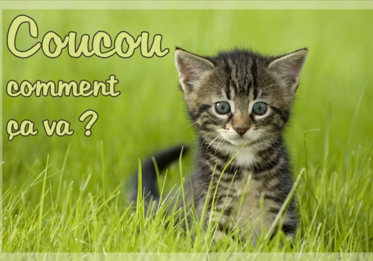 614482B4-5334-44CF-9C95-A5AA8BC74AC8